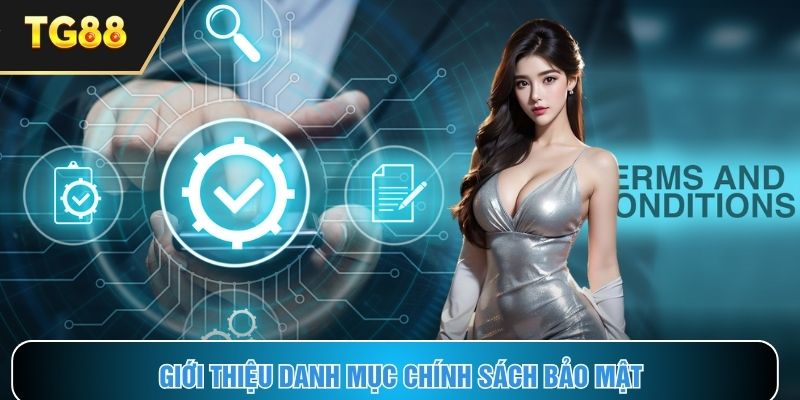 Hiểu rõ chi tiết về danh mục chính sách bảo mật