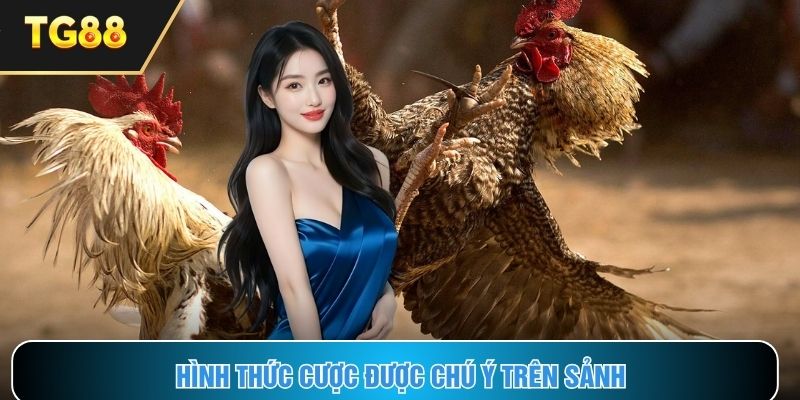Hiểu rõ từng hình thức cá cược có mặt trên sảnh