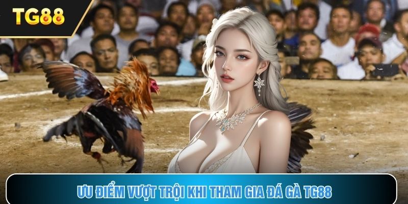 Ưu điểm vượt trội khi tham gia đá gà TG88