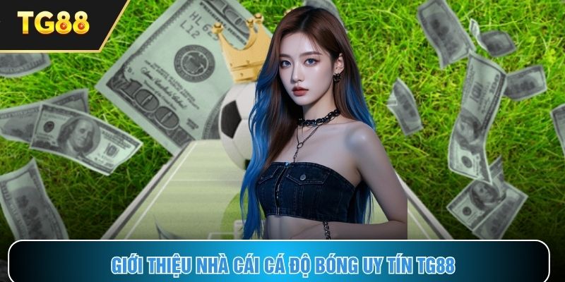 Những nét chính giới thiệu về nền tảng TG88