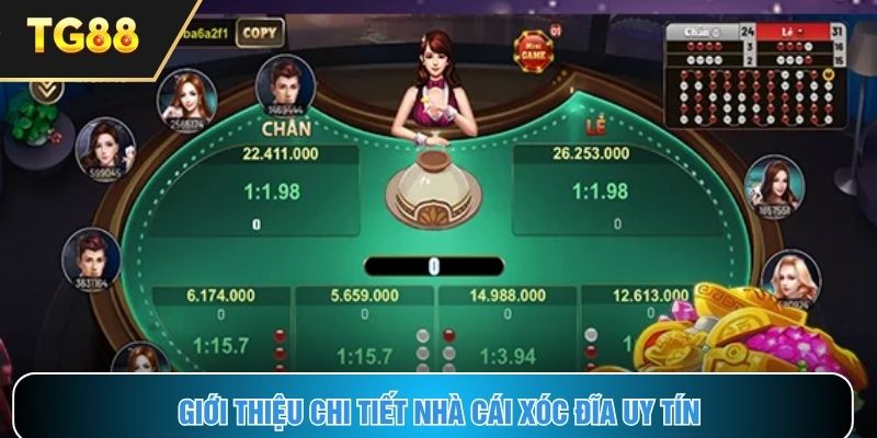 Những nét chính giới thiệu về nền tảng xóc đĩa